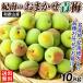  слива 10kg. юг. случайный синий слива Wakayama производство . для бытового использования .. обычная температура рейс бесплатная доставка еда 