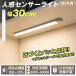 ���؉� �Z���T�[���C�g LED �������F�Z���T�[���C�g30cm �����p ������ �t�b�g���C�g �}�O�l�b�g�@���� ���F �l�� USB�[�d �z���s�v ���� �N���[�[�b�g ���� �֘A�摜1