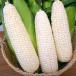  вид овощи .. кукуруза F1 белый fe старт 1 пакет (30ml) белый кукуруза белый .... вид страна ..