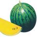  вид овощи .. маленький шар арбуз F1 желтый золотой ....1 пакет (8 шарик ) запад ..... вид страна ..