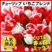  тюльпан луковица клубника Blend ( нет выбор другой ) 10 лампочка / тюльпан. луковица 