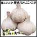 ニンニク 種球 博多八片ニンニク 種球 500g / にんにくの種 ガーリック 家庭菜園 家庭栽培  暖地向きニンニク 福岡 人気 早生 博多にんにく 国華園