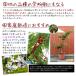 ���؉� �ʎ��c �T�N�����{ �g�����PVP �X�[�p�[6�i�␫��/�R���g�V�b�N�XR�j 1�� �֘A�摜3