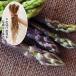  have for plant seedling asparagus large stock sweet purple 4 stock /...... asparagus. seedling ....... seedling purple purple purple asparagus purple asparagus 
