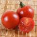  контактный дерево овощи рассада средний шар помидор контактный дерево F1. маленький блок R( сельское хозяйство . вода производство . регистрация товар вид регистрация название :.. колокольчик )PVP 1 АО ....... страна ..