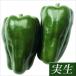  реальный сырой овощи рассада зеленый перец F1 столица волна 2 АО 
