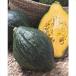  вид овощи .. тыква F1ro long 1 пакет (8 шарик ).... вид страна ..
