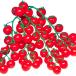  контактный дерево овощи рассада мини помидоры контактный дерево F1.... Cherry 2 АО ....... страна ..