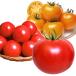  контактный дерево овощи рассада большой шар помидор популярный большой шар помидор комплект 3 вид 6 АО set....... страна ..