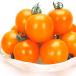  реальный сырой овощи рассада средний шар помидор F1 orange мяч 1 АО собственный корень рассада ....... страна ..