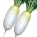  вид овощи .. дайкон F1 улучшение превосходящий Taro 1 пакет (4ml)