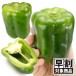 ( скорейший предварительный заказ распродажа ..) вид овощи .. зеленый перец F1 зеленый 500 номер 1 пакет (1ml) скидка за ранний заказ /26 год весна отправка [ стоимость доставки группа :R50T9]