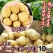  картофель 10kg Aomori производство me-k in [ маленький шар ] бесплатная доставка еда 