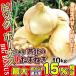  sphere leek 10kg. north. new onion Kumamoto production . home use .... round tip free shipping food 