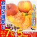 mo.5kgwasa- Nagano производство . для бытового использования бесплатная доставка еда 