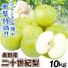  груша 10kg. для бытового использования 2 10 век груша Nagano производство бесплатная доставка еда . покупка 