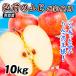  страна .. яблоко 10kg Aomori производство Hirosaki. солнечный .. яблоко. король есть перевод . для бытового использования бесплатная доставка еда [ отгрузка средний ]