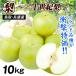  груша 10kg. для бытового использования 2 10 век груша Tottori * Hyogo производство бесплатная доставка еда . покупка 