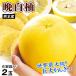  мандарин . белый .2 шар Kumamoto производство несессер ..... мир максимальный класс мандарин .. бесплатная доставка еда . покупка 