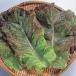  вид овощи .. lettuce красный yakiniku lettuce 1 пакет (2ml).... вид страна ..