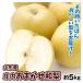  груша примерно 5kg. внутри случайный мир груша Yamagata производство . для бытового использования бесплатная доставка еда 