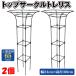  обелиск шпалера фигурная скобка верх Circle шпалера 2 шт ... декоративное растение .. огород садоводство сельское хозяйство садоводство страна ..
