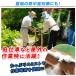 ���؉� �~�X�g�V�����[ �M���Ǒ΍� �� �U���@ ����Ń~�X�g���� 15m+�����L�b�g10m �Z�b�g 1�g �~�X�g�N�[���[ �K�[�f���~�X�g���O �x�����_ �H���s�v mist �֘A�摜3
