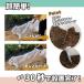 ���؉� �ȒP�g���l���͔|�Z�b�g 1�� �g���l���͔| �h�� �h�� �ۉ� �x���t�� �K�[�f�� �ƒ�؉� �_�� �ȒP�ݒu �r�j�[�� �s�D�z �������b�L 45�~45�~300cm �֘A�摜3