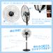 ���؉� ���[ �X�^���h ��@ 1�� �H������ ��U�� �d���� 5���H�� 3�i�K���ʒ��� �ƒ�p �֘A�摜5
