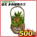  artificial flower succulent plant basket 1 piece fake green succulent plant human work decorative plant artificial flower stylish Mini living pot country ..