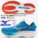  немедленная уплата возможность Mizuno MIZUNO/ мужской бег обувь /ue-b rider 30/WAVE RIDER 30/J1GM262053/ Sky голубой × белый × красный / пара ширина :2E
