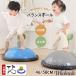 �o�����X�{�[�� 46-58cm �q���p ��l�p ���~�^ ���~ �o�����X�h�[�� �`���[�u�t�� �̊��g���[�j���O �o�����X �{�[���X�g���b�` �_�C�G�b�g ���N��� ���K