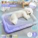  домашнее животное bed летний кошка собака bed .... охлаждающий домашнее животное коврик собака кошка двоякое применение контакт охлаждающий легкий подушка охлаждающий коврик легкий .... средний . тепловая защита 