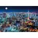  Beverly (BEVERLY) сделано в Японии Beverly 300 деталь составная картинка Tokyo ночь .(26×38cm)300-015