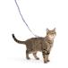 PetSafe( домашнее животное safe ) кошка. Harness легкий walk кошка для Harness &amp; банджи Lead lilac M размер 