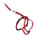 PetSafe( домашнее животное safe ) кошка. Harness легкий walk кошка для Harness &amp; банджи Lead красный L размер 