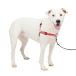 PetSafe( домашнее животное safe ) собака для .. обивка предотвращение Harness Deluxe легкий walk Harness rose красный × черный M/L размер 