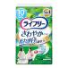 lai свободный моча протекать накладка 10cc.... накладка женский мельчайший количество для 36 листов 19cm (..... утечка .)