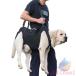  уход . собака уход для товары для ухода уход для Harness собака приспособление для ходьбы Harness домашнее животное zonchi- Harness уход сопутствующие товары маленький размер собака средний собака большой собака . собака . применение товары для домашних животных домашнее животное товары 