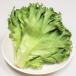 Ano lettuce ( низкий калий lettuce ) 12 пакет (1 пакет на примерно 70g)