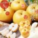  груша новый . Izumi груша ...... Tottori производство 5kg. дом для груша мир груша нет красный груша нет (. дом для есть перевод )(S-4L).. выдающийся бесплатная доставка 