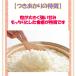 �V�� �ߘa�W�N�Y ��� �������� ���� 5kg �~�S�� �Q�O�L�� ���k�`�֐� �������� ������ �� ���� �֘A�摜1