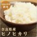 お米 ヒノヒカリ 奈良県産 令和元年産 白米 20kg 5kg×4 北海道・沖縄を除き送料無料