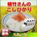 コシヒカリ  お米 白米 玄米 18kg 小分け 令和元年産 埼玉県 地域限定 送料無料