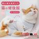  кошка . после одежда царапина облизывание предотвращение .... кошка. одежда домашнее животное одежда для домашних животных . после одежда 