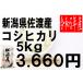 米　30年度産　新潟県　佐渡産　コシヒカリ 5kg　