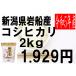 米　令和1年度産　新潟県　岩船産　コシヒカリ 2kg