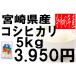 米　令和1年度産　宮崎県産　コシヒカリ 5kg