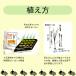 �L�@���� �ʂ˂��̈ꔭ�엿 3kg �ʂ˂��c600�{�� �ǔ�s�v �����R�[�e�B���O �A�~�m�_ ���A�_�z�� �j���j�N �l�M ���� �A�~�m�[�����w������ �˂��E�j���j�N�ɂ� �֘A�摜4