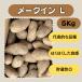 me-k in L 5kg семенной клубень картофель jagaimo распродажа почтовый заказ бесплатная доставка местного производства огород начинающий предназначенный 
